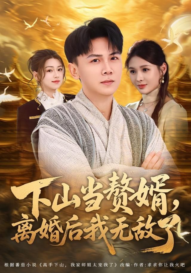 下山当赘婿，离婚后我无敌了